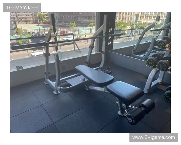 打造强健体魄的全方位健身指南 让你拥有理想身材与健康生活