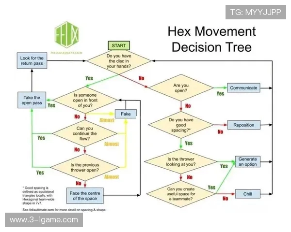 深圳飞盘队意识对比深度解析与战术演变探讨