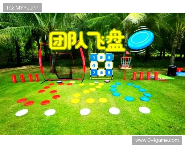 飞盘运动的魅力与挑战：南京飞盘队的耐力之路探索